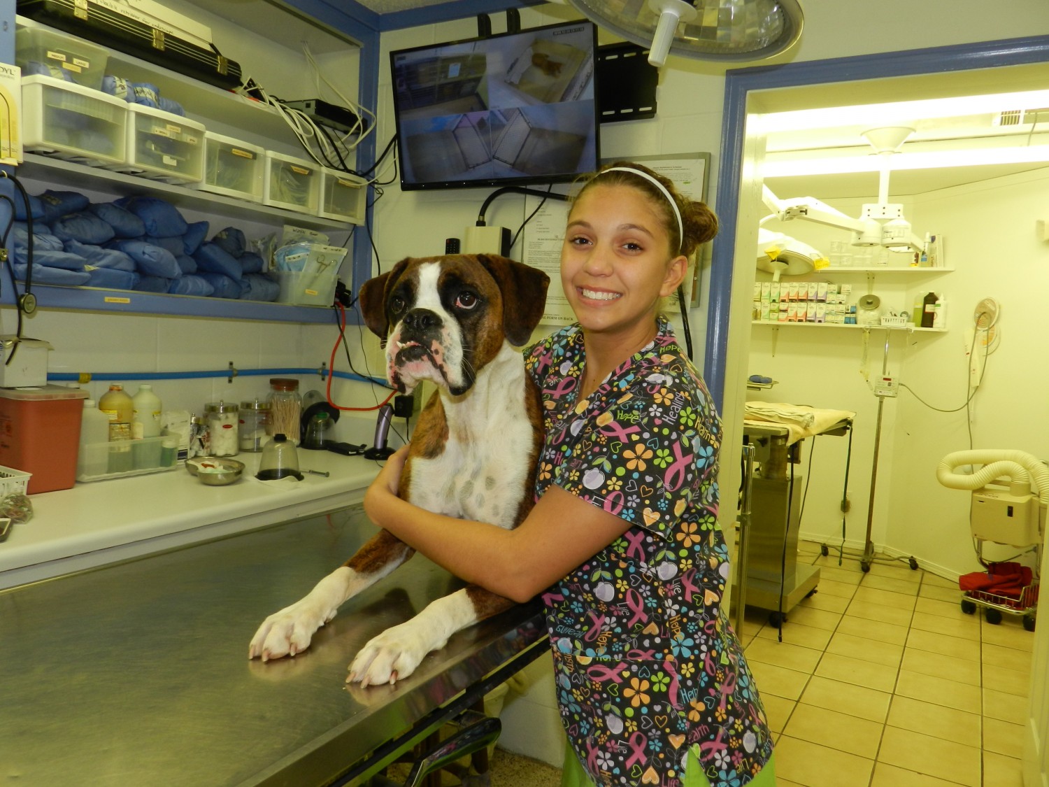 Animal Medical Center staff holding dog