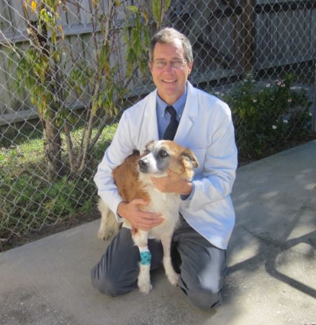 Dr. J Gus Mueller welcomes you and your pet to the Animal Medical Center in Gulf Breez, FL